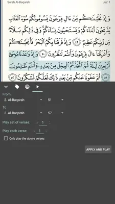 Quran Android android App screenshot 8